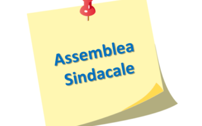 Assemblee Sindacali  Fe.N.S.I.R. 10 NOVEMBRE 2023